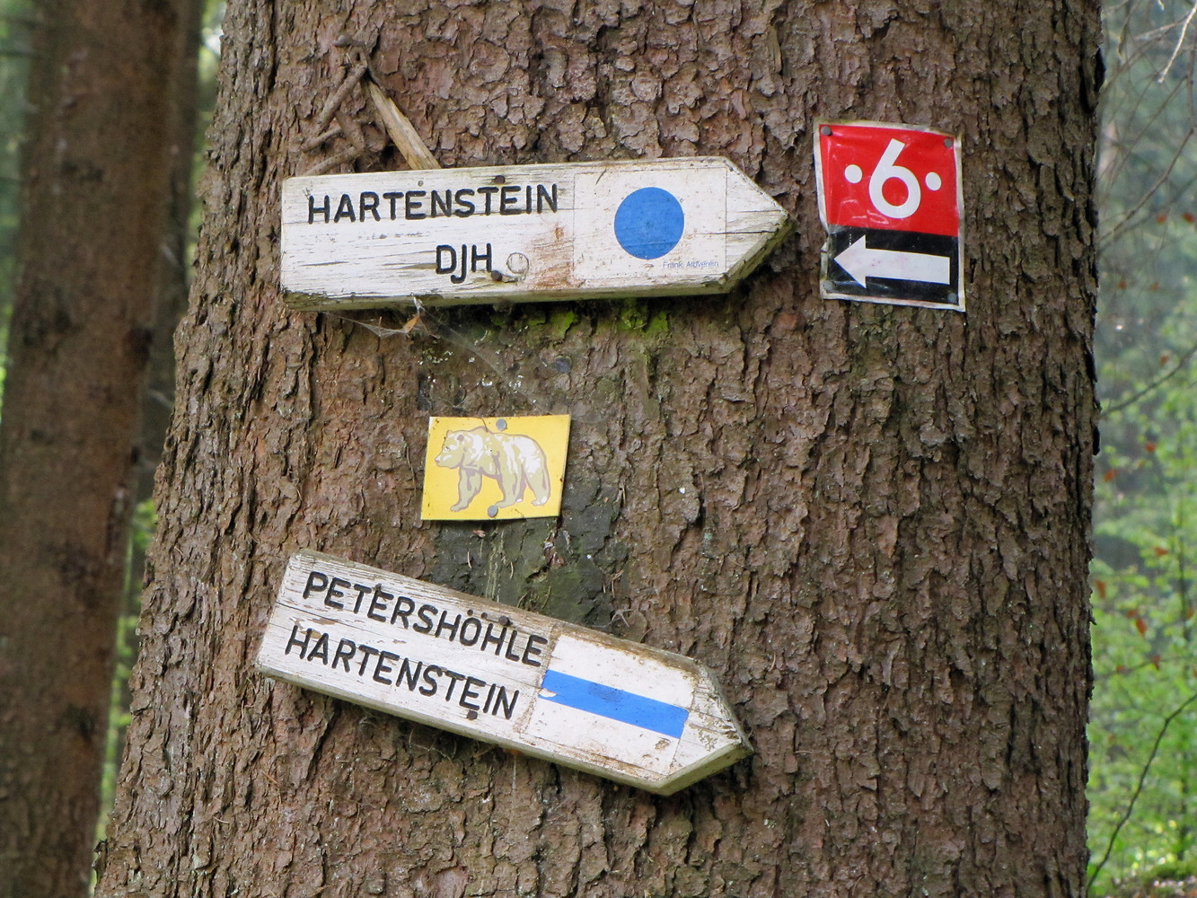 Wegweiser Petershöhle &ndash;  (26.04.2014, VGN &copy;&nbsp;VGN GmbH)