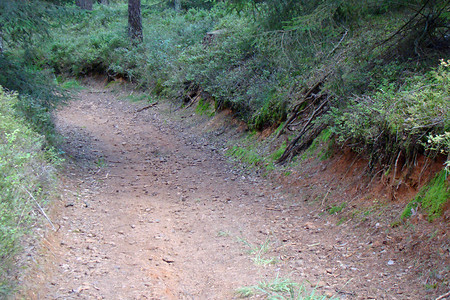 Hohlweg am Grossberg &ndash; (VGN &copy;&nbsp;VGN GmbH)