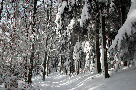 Auch im Winter... &ndash; (VGN &copy;&nbsp;VGN GmbH)