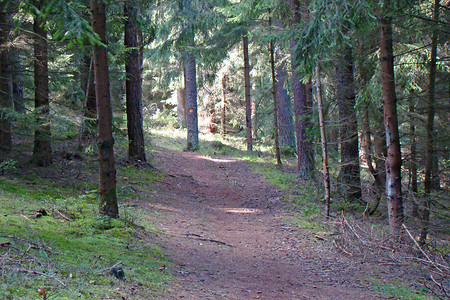 Am Grossberg &ndash; (VGN &copy;&nbsp;VGN GmbH)