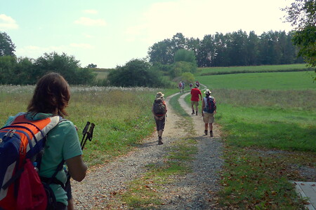 Wandern &ndash; (14.08.2019, G. Härer &copy;&nbsp;VGN GmbH)