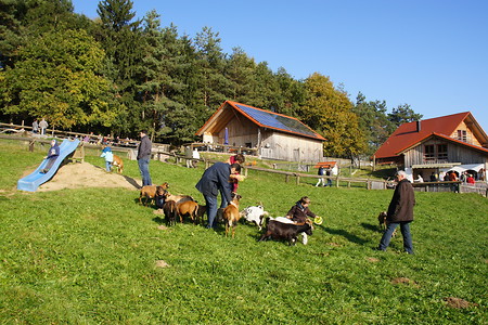 Gradlhof &ndash; (VGN &copy;&nbsp;VGN GmbH)