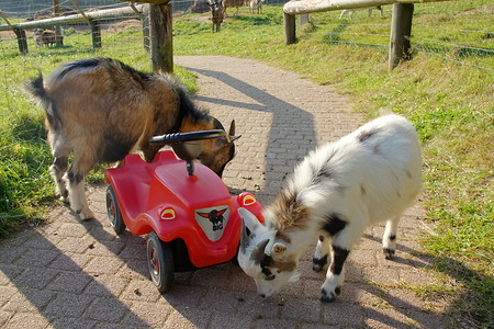 Komisches rotes Ding! &ndash; (VGN &copy;&nbsp;VGN GmbH)