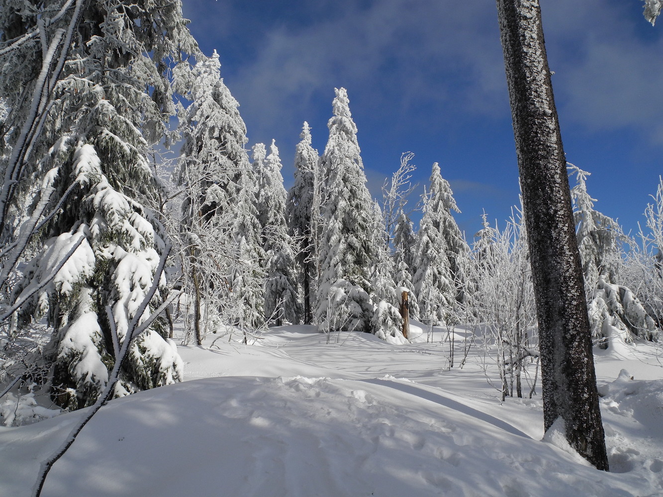 Eiswelten am Ochsenkopf &ndash; Winter extrem – Im Fichtelgebirge fällt die kalte Jahreszeit meist deutlich heftiger aus als im sonstigen VGN-Gebiet  (VGN &copy;&nbsp;VGN GmbH)