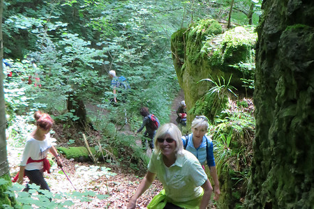 Felspartien &ndash; (17.08.2016, VGN &copy;&nbsp;VGN GmbH)