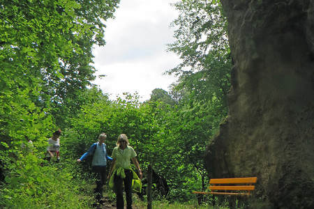 Felsnadel in der Brückneranlage &ndash; (17.08.2016, VGN &copy;&nbsp;VGN GmbH)