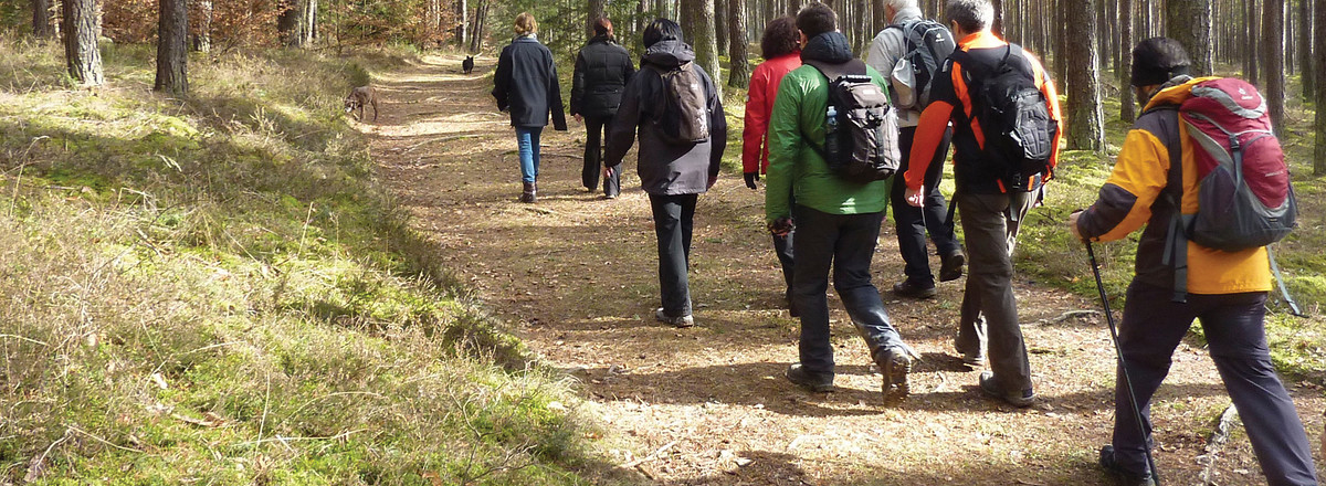 Waldpfad &ndash;  (27.04.2012, VGN &copy;&nbsp;VGN GmbH)