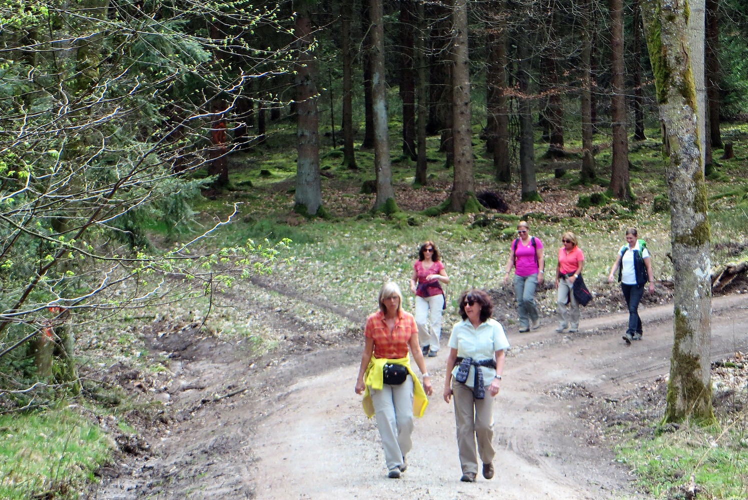 Unterwegs &ndash;  (13.02.2018, VGN &copy;&nbsp;VGN GmbH)