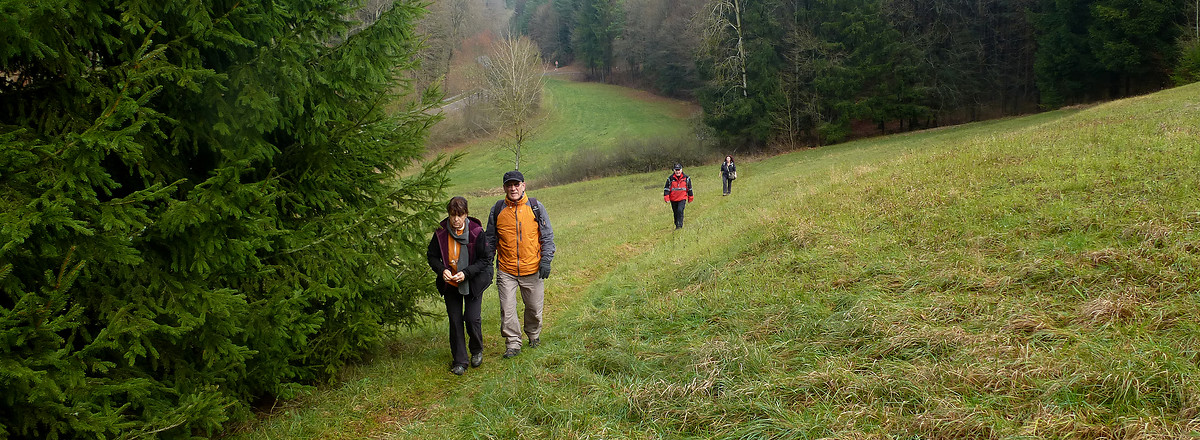 Hinauf nach Weigendorf &ndash;  (01.12.2013, VGN &copy;&nbsp;VGN GmbH)