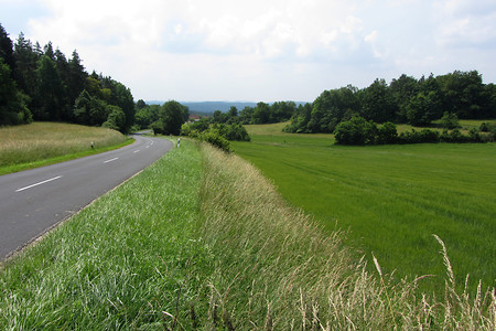 Vor Mittelreinbach &ndash; (06.07.2013, VGN &copy;&nbsp;VGN GmbH)