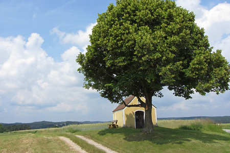 Vor Königstein &ndash; (06.07.2013, VGN &copy;&nbsp;VGN GmbH)