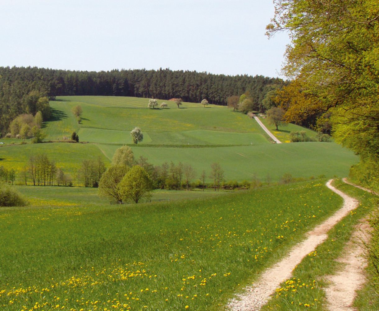  (VGN &copy;&nbsp;VGN GmbH)