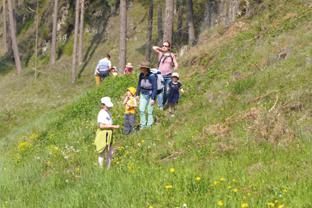 Wanderer &ndash; (25.05.2018, VGN &copy;&nbsp;VGN GmbH)