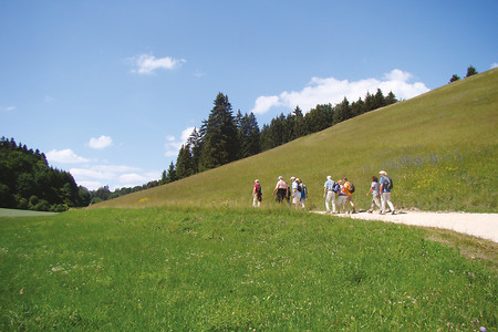 Talweg nach Weißenburg &ndash; (25.05.2018, VGN &copy;&nbsp;VGN GmbH)