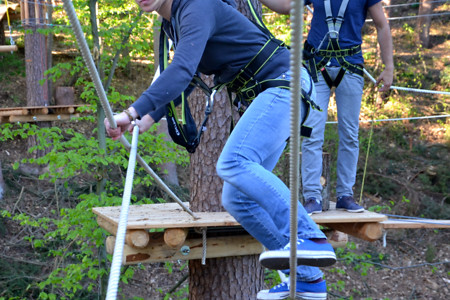 Waldseilpark Rummelsberg &ndash; (25.05.2018, Roggenthin &copy;&nbsp;Roggenthin)