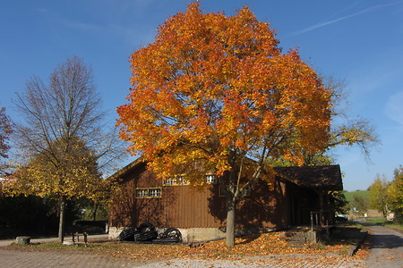 Gaukönigshofen &ndash; (Rück &copy;&nbsp;Rück)