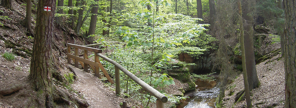 Die Bitterbachschlucht &ndash;  (VGN &copy;&nbsp;VGN GmbH)