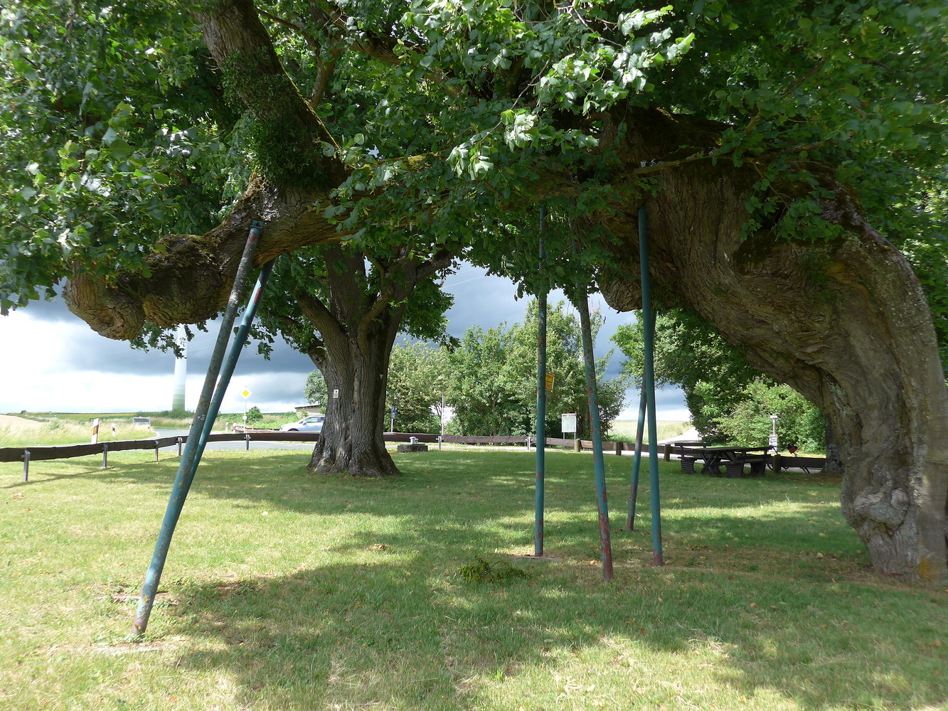 Gestütze Linde &ndash;  (18.02.2019, &copy;&nbsp;Gertrud Härer)