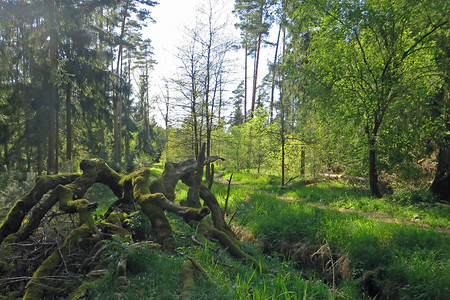 Am Kothrunnengraben &ndash; (24.05.2016, VGN &copy;&nbsp;VGN GmbH)