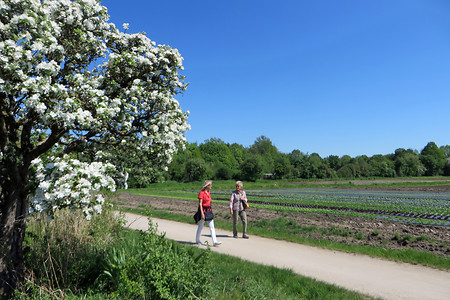 Richtung Großreuth &ndash; (24.05.2016, VGN &copy;&nbsp;VGN GmbH)