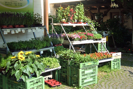 Gemüssestand &ndash; (24.05.2016, VGN &copy;&nbsp;VGN GmbH)