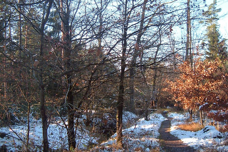 Wanderpfad &ndash; (24.05.2016, VGN &copy;&nbsp;VGN GmbH)