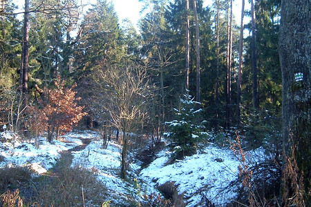 Verschneiter Kothsbrunnengraben &ndash; (24.05.2016, VGN &copy;&nbsp;VGN GmbH)