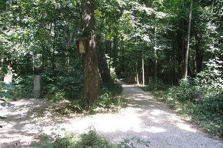 Im Irrhain &ndash; (12.06.2016, VGN &copy;&nbsp;VGN GmbH)