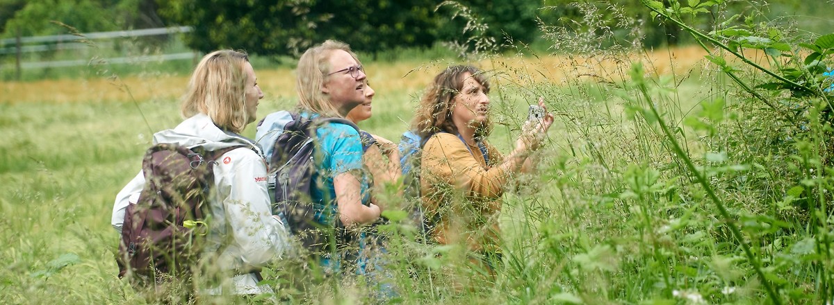 Wandergruppe &ndash;  (10.04.2020, U. Buescher &copy;&nbsp;VGN GmbH)