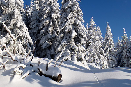 Spuren im Schnee &ndash; (10.02.2013, VGN &copy;&nbsp;VGN GmbH)