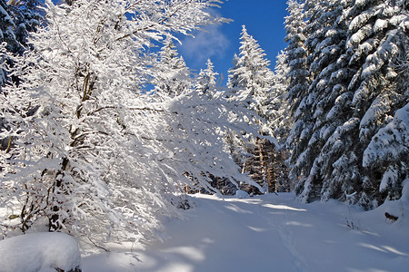 Winterlandschaft &ndash; (10.02.2013, VGN &copy;&nbsp;VGN GmbH)