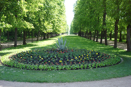 Hofgarten &ndash; (24.05.2010, VGN &copy;&nbsp;VGN GmbH)
