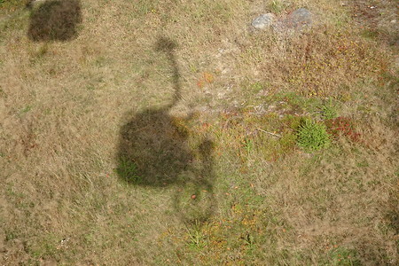 Radmitnahme in der Schwebebahn &ndash; (20.10.2018, S. Dassler &copy;&nbsp;VGN GmbH)