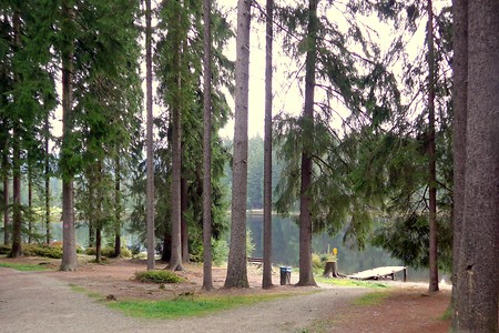 Am Fichtelsee &ndash; (20.10.2018, G. Härer &copy;&nbsp;VGN GmbH)