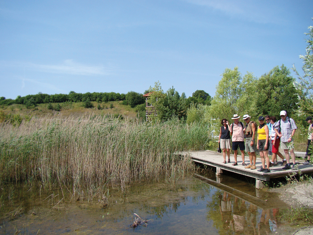 Umweltstation Lias-Grube &ndash;  (VGN &copy;&nbsp;VGN GmbH)