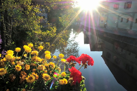 Aurach-Idylle &ndash; (04.09.2019, U. Buescher &copy;&nbsp;VGN GmbH)