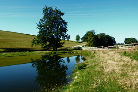 Spiegelung &ndash; (04.09.2019, U. Buescher &copy;&nbsp;VGN GmbH)