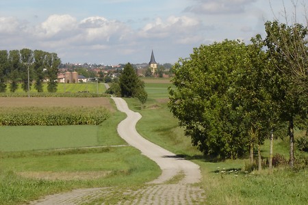 Vor Gebsattel &ndash; (20.02.2019, R. Rück &copy;&nbsp;schreibwerk)