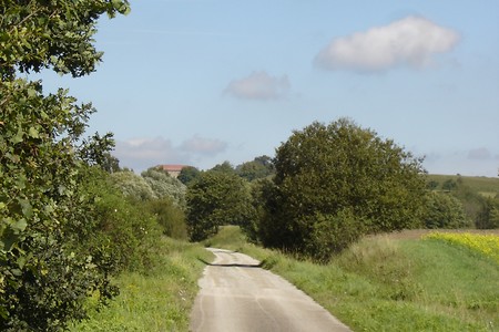 Vor Schillingsfürst &ndash; (20.02.2019, R. Rück &copy;&nbsp;schreibwerk)