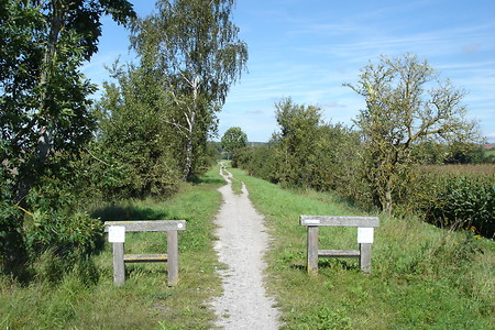 Vor Diebach &ndash; (20.02.2019, R. Rück &copy;&nbsp;schreibwerk)