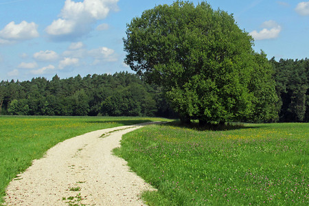 Schotterweg &ndash; (VGN &copy;&nbsp;VGN GmbH)