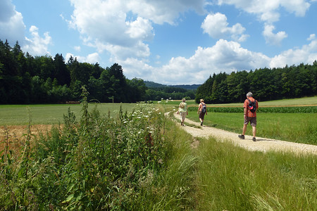 Im Hinterlohgraben &ndash; (03.07.2014, VGN &copy;&nbsp;VGN GmbH)