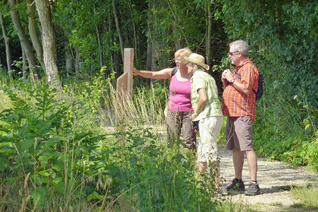 Infotafel am Hammerbacher Mühlenweg &ndash; (03.07.2014, VGN &copy;&nbsp;VGN GmbH)