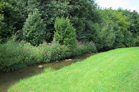 Bachlauf &ndash; (VGN &copy;&nbsp;VGN GmbH)