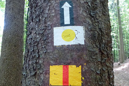 Der rote Senkrechtstrich &ndash; (03.07.2014, VGN &copy;&nbsp;VGN GmbH)