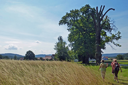 Vor Rüblanden &ndash; (03.07.2014, VGN &copy;&nbsp;VGN GmbH)