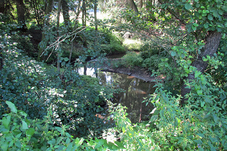 Bachlauf &ndash; (VGN &copy;&nbsp;VGN GmbH)