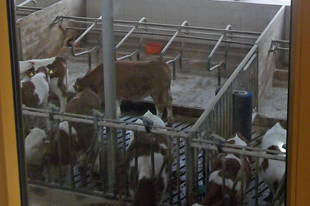 Blick durch ein Fenster &ndash; (02.11.2016, VGN &copy;&nbsp;VGN GmbH)