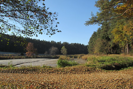 Ausgelassener Weiher &ndash; (02.11.2016, VGN &copy;&nbsp;VGN GmbH)