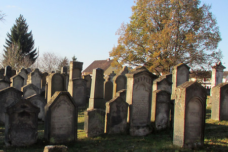 Judenfriedhof &ndash; (02.11.2016, VGN &copy;&nbsp;VGN GmbH)